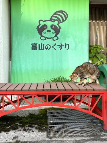 温泉旅♪ 〜縞家の遅いGW2