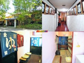 大分県 宝泉寺温泉 花となごみの宿 山光園