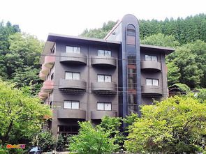 大分県 宝泉寺温泉 はんなりおやど龍泉閣
