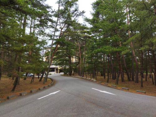 佐渡ヶ島 八幡温泉八幡館