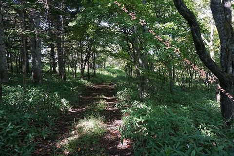 道東 ひっそり湧出している廃屋の野湯 『S温泉』