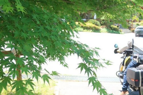 久しぶりに関西の奥座敷 武田尾温泉へ行ってみよう
