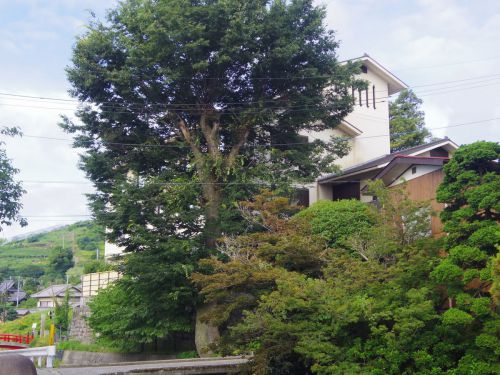 静かな温泉旅でお世話になった宿を応援しようと思い、