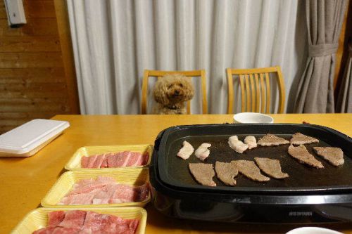 静岡県田貫湖温泉 休暇村富士8('A`)食事その2
