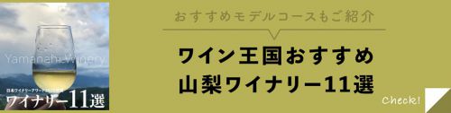 山梨・石和温泉周辺の観光案内・おすすめ観光スポット【2022年グルメ・名物料理編(その1)】