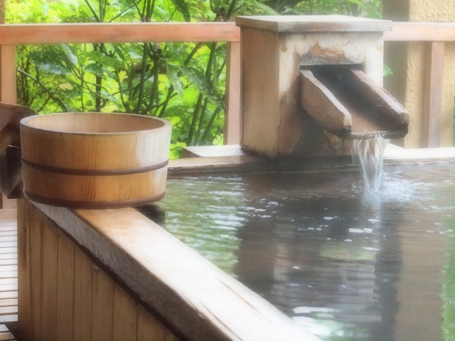 栃尾又温泉 自在館 館内と食事