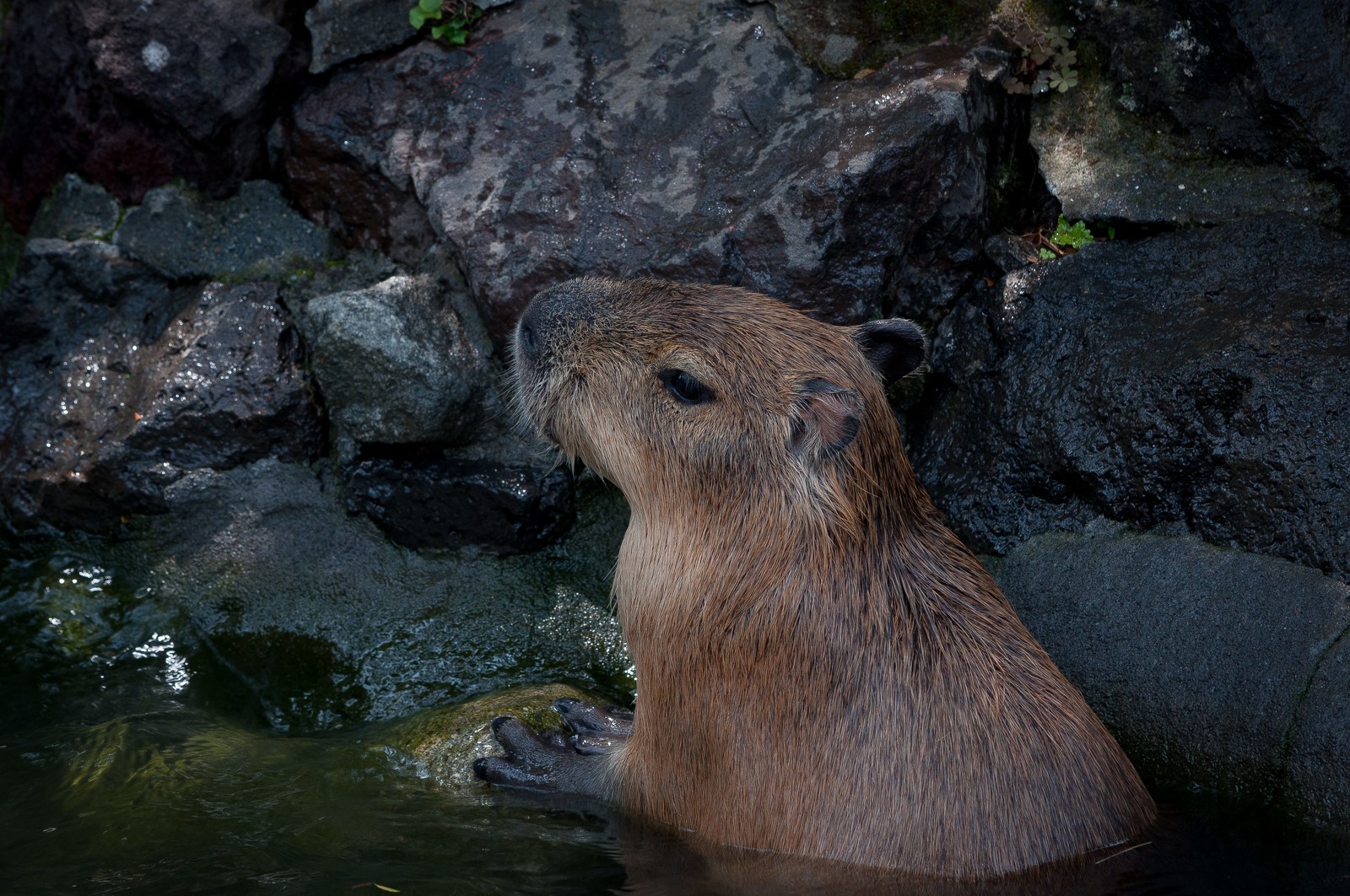 三重 片岡温泉 アクアイグニス
